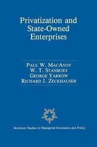 bokomslag Privatization and State-Owned Enterprises