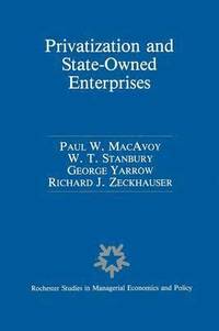 bokomslag Privatization and State-Owned Enterprises