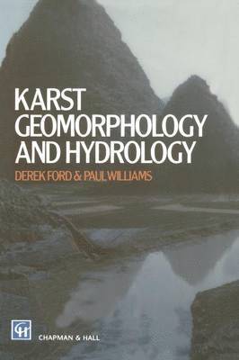 bokomslag Karst Geomorphology and Hydrology