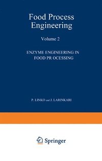 bokomslag Food Process Engineering