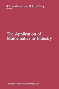 bokomslag The Application of Mathematics in Industry