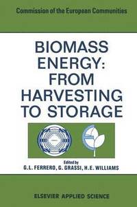 bokomslag Biomass Energy