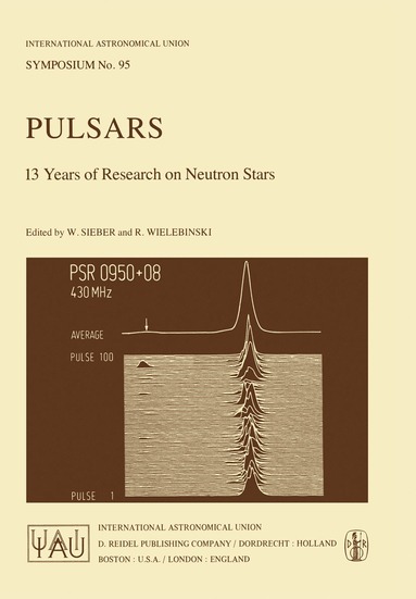 bokomslag Pulsars