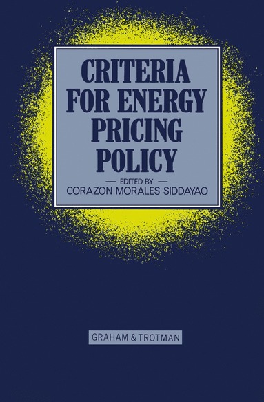 bokomslag Criteria for Energy Pricing Policy