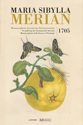 bokomslag Maria Sibylla Merian. Metamorphosis Insectorum Surinamensium