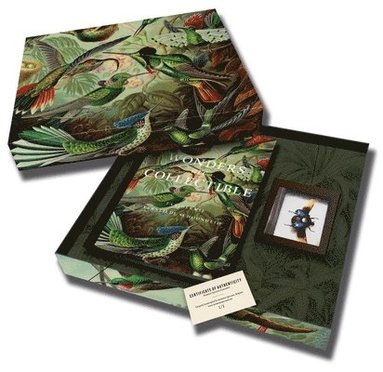 bokomslag Wonders are Collectible: Taxidermy Deluxe Edition