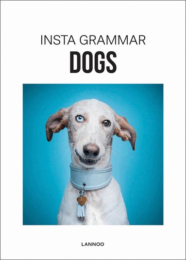 Irene Schampaert - Insta Grammar Dogs, Inbunden