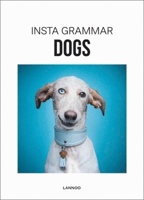 bokomslag Insta Grammar Dogs