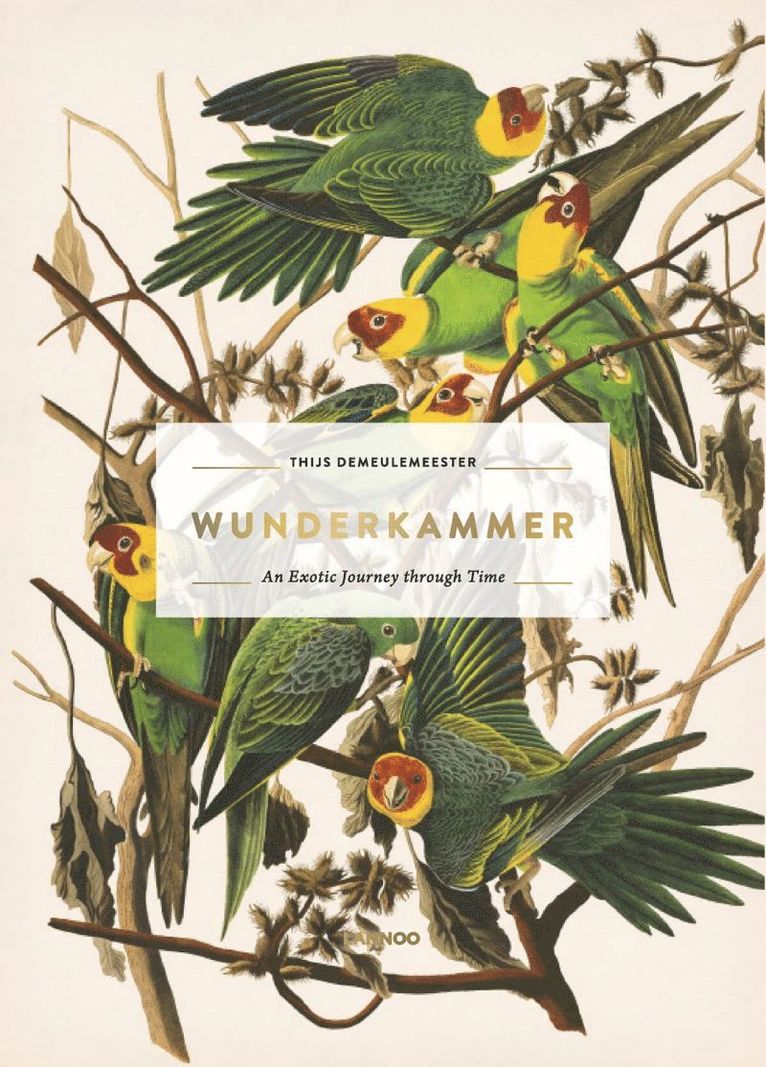 Wunderkammer 1