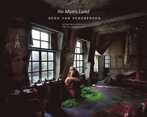 No Man's Land