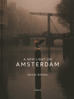 A New Light on Amsterdam 1