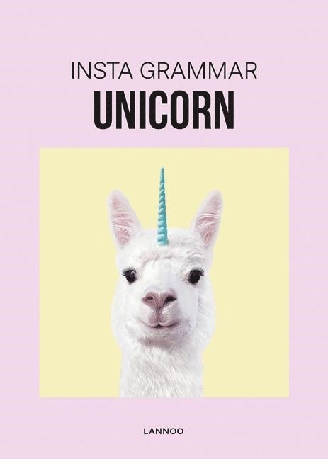 Insta Grammar: Unicorn 1