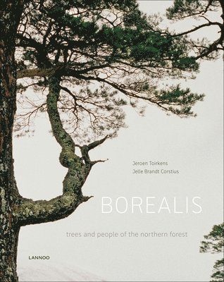 Borealis 1