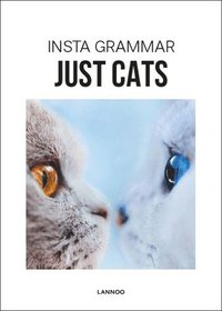 bokomslag Insta Grammar Just Cats