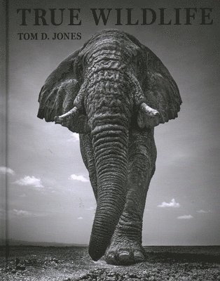 Tom D. Jones - True Wildlife, Inbunden