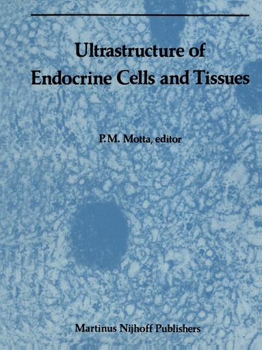 P.M. Motta, P.M. Motta - Ultrastructure of Endocrine Cells and Tissues, Häftad