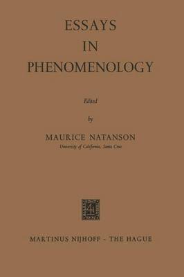 bokomslag Essays in Phenomenology