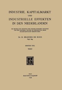 bokomslag Industrie, Kapitalmarkt und Industrielle Effekten in den Niederlanden