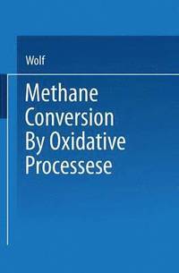 bokomslag Methane Conversion by Oxidative Processes