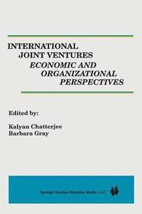bokomslag International Joint Ventures: Economic and Organizational Perspectives