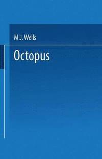 bokomslag Octopus