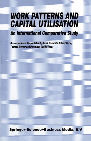 D. Anxo, Gerhard Bosch, Derek Bosworth, Gilbert Cette, Thomas Sterner, Dominique Taddei - Work Patterns and Capital Utilisation, Häftad