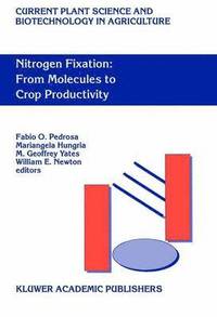 bokomslag Nitrogen Fixation: From Molecules to Crop Productivity