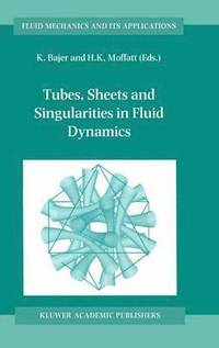 bokomslag Tubes, Sheets and Singularities in Fluid Dynamics