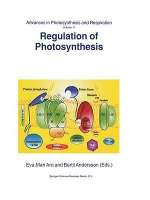 bokomslag Regulation of Photosynthesis