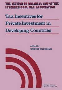 bokomslag Tax Incentives for Private Investment in Developing Countries