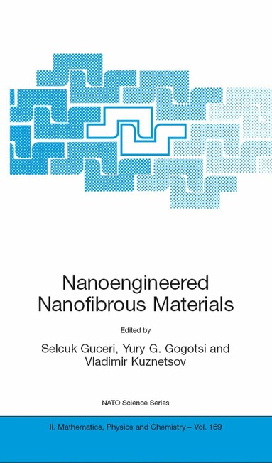 Selcuk Guceri, Yury G. Gogotsi, Vladimir Kuznetsov - Nanoengineered Nanofibrous Materials, Häftad