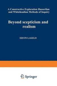 bokomslag Beyond Scepticism and Realism