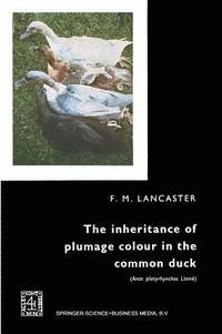 bokomslag The inheritance of plumage colour in the common duck (Anas platyrhynchos linn)