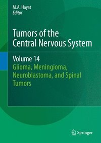 bokomslag Tumors of the Central Nervous System, Volume 14