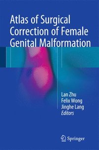 bokomslag Atlas of Surgical Correction of Female Genital Malformation