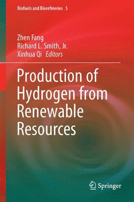 bokomslag Production of Hydrogen from Renewable Resources