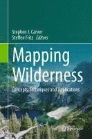 bokomslag Mapping Wilderness