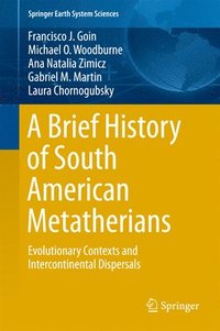 bokomslag A Brief History of South American Metatherians