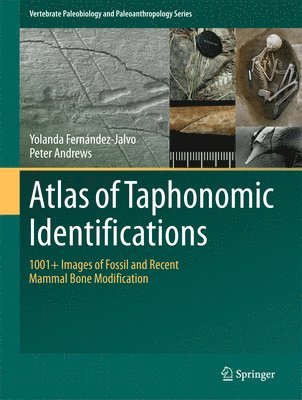 Atlas of Taphonomic Identifications 1
