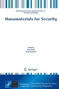 bokomslag Nanomaterials for Security