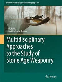 bokomslag Multidisciplinary Approaches to the Study of Stone Age Weaponry