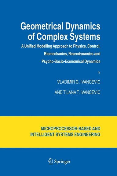 bokomslag Geometrical Dynamics of Complex Systems