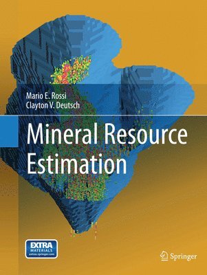 bokomslag Mineral Resource Estimation