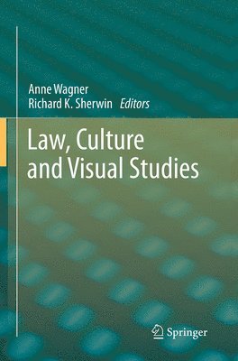 bokomslag Law, Culture and Visual Studies