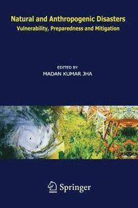 bokomslag Natural and Anthropogenic Disasters