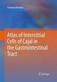 bokomslag Atlas of Interstitial Cells of Cajal in the Gastrointestinal Tract