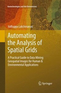 bokomslag Automating the Analysis of Spatial Grids