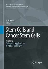 bokomslag Stem Cells and Cancer Stem Cells, Volume 6