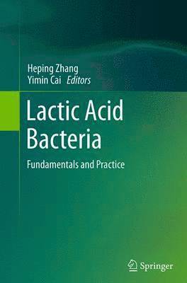 bokomslag Lactic Acid Bacteria