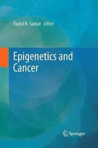 bokomslag Epigenetics and Cancer